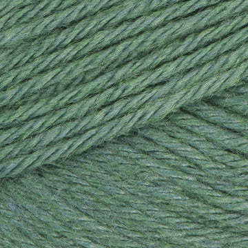 Ivy Heather (130)