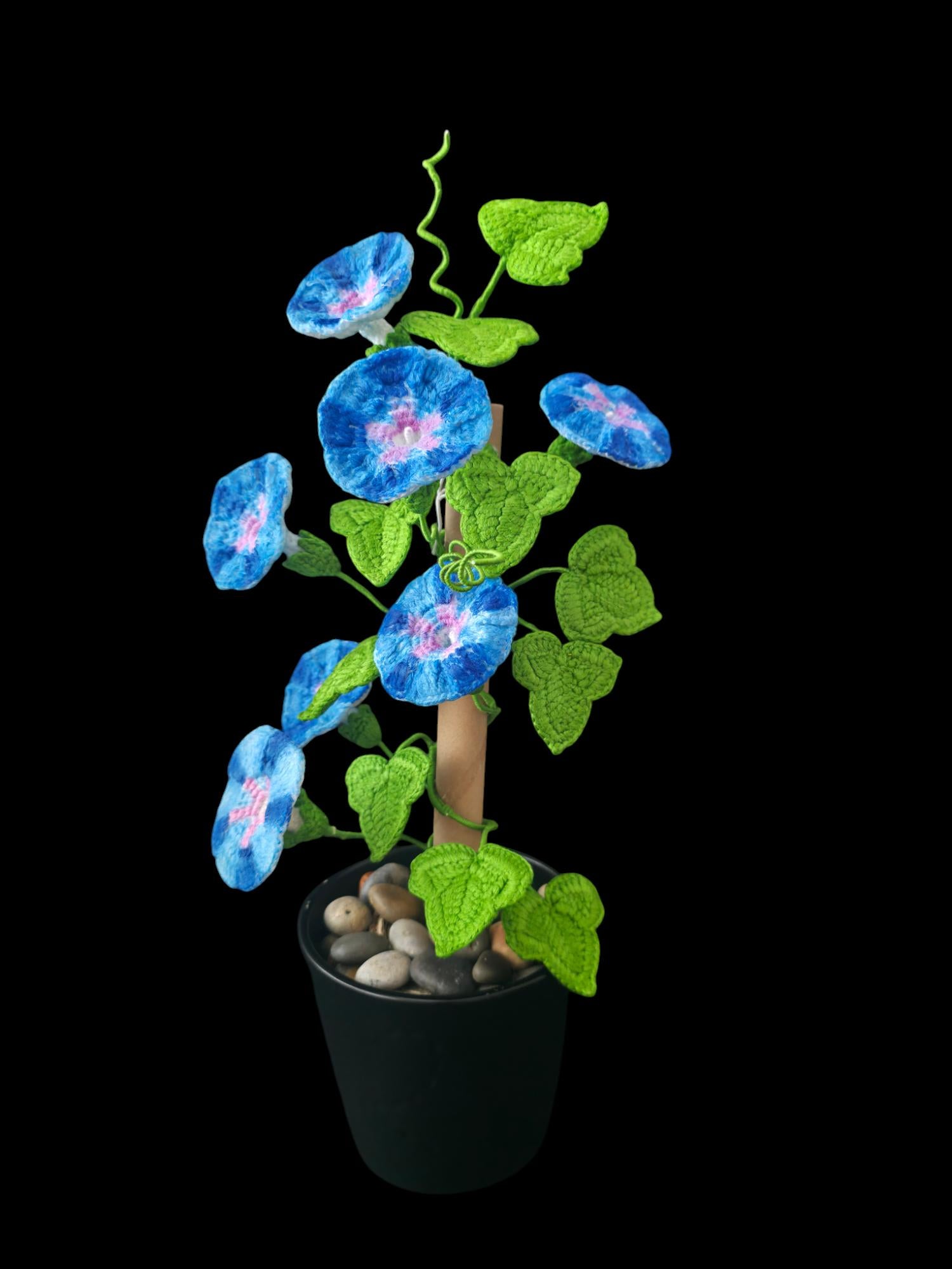 Crochet Morning Glory flowers pattern