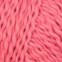 Raspberry (016)