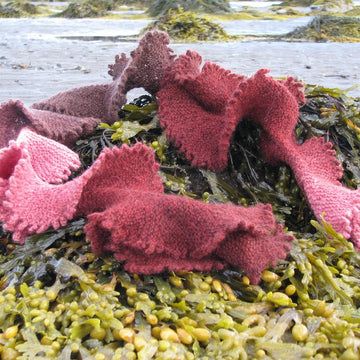 Sea Lettuce Scarf 468