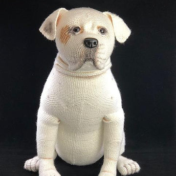American Bulldog