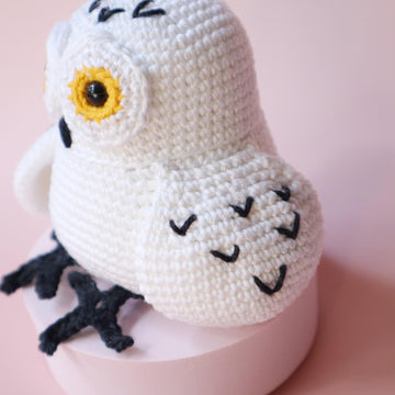 Yuki the Snowy Owl
