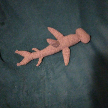 Hammerhead Shark