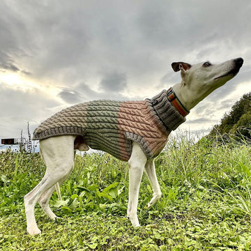Dog Sweater ASHA CABLE