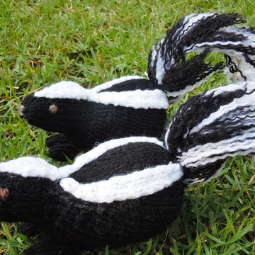 Skunk Baby