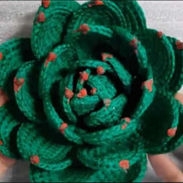 Crochet Hen & Chick's succulent plant