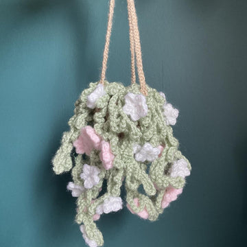 Snowtopia hanging plant