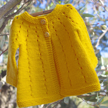 Lemon Slice
