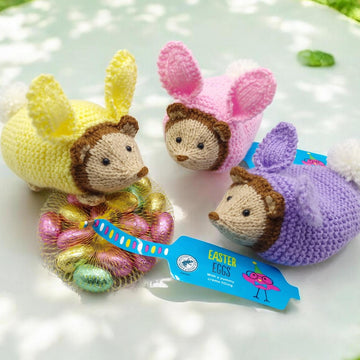 Hedgehog in Bunny Suit Gift Bag/Toy