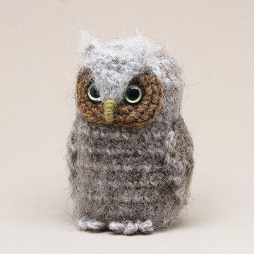 Bubu the owlet