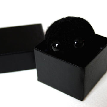 Baby Black Hole