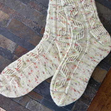Double Helix Socks