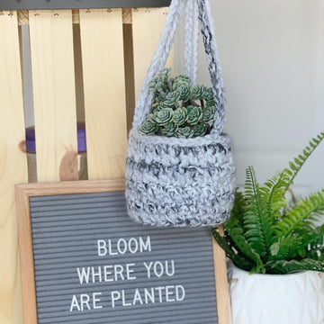 The Lemon Peel Planter 056
