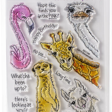 Stampendous Perfectly Clear Stamps - Peeking Pals