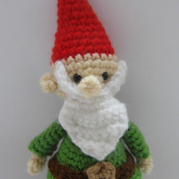 Dwarfy the Travelling Gnome
