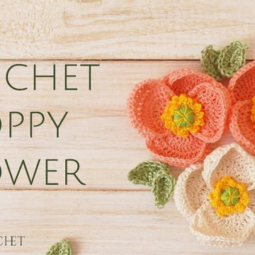 Poppy Flower