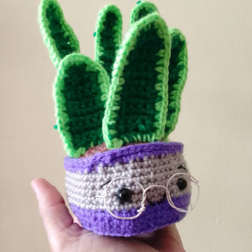 Sansevieria amigurumi