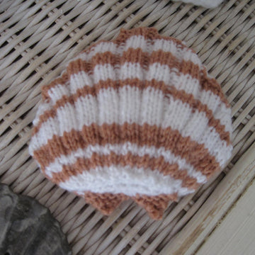 Scallop Shell