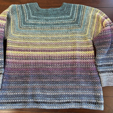 Monitor Raglan Pullover