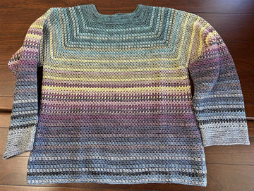 Monitor Raglan Pullover