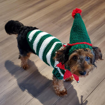 Elf Dog Sweater