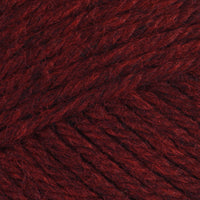 Sour Cherry (33145)