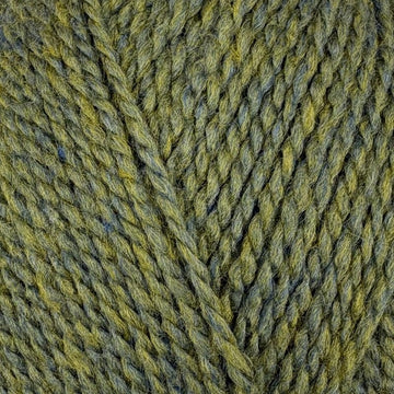 Lichen (7228)