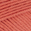 Sorbet (793)