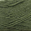 English Fern (45)