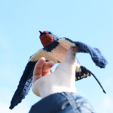 Soaring Swallow