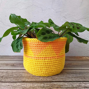 Plant Pot Covers Fall