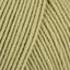 Willow (36)