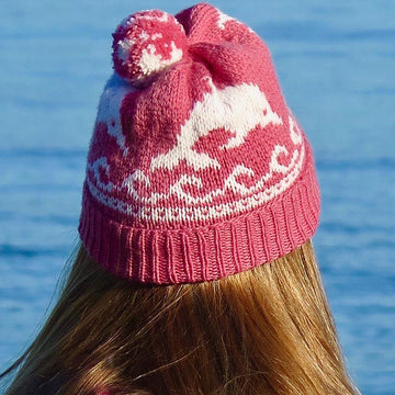 2 Dolphin Hats
