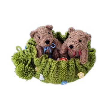 Teddy Bears Picnic