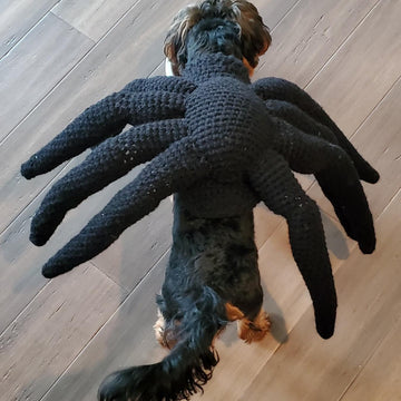Spider Dog Costume