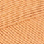 Sandstone (69009)