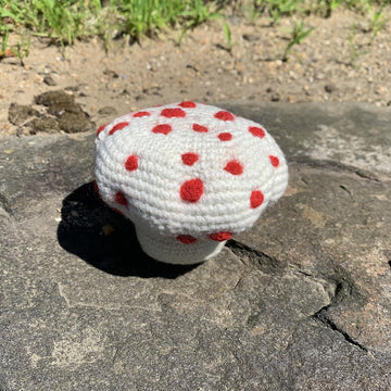 Bleeding Tooth Mushroom Plush