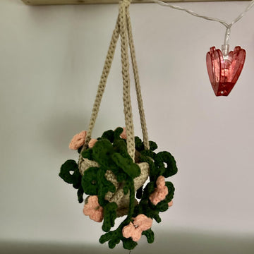 Hanging Terracotta Pot