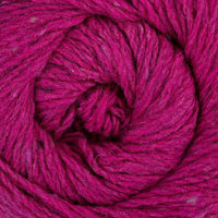 Fuchsia (12)