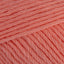Coral (493)