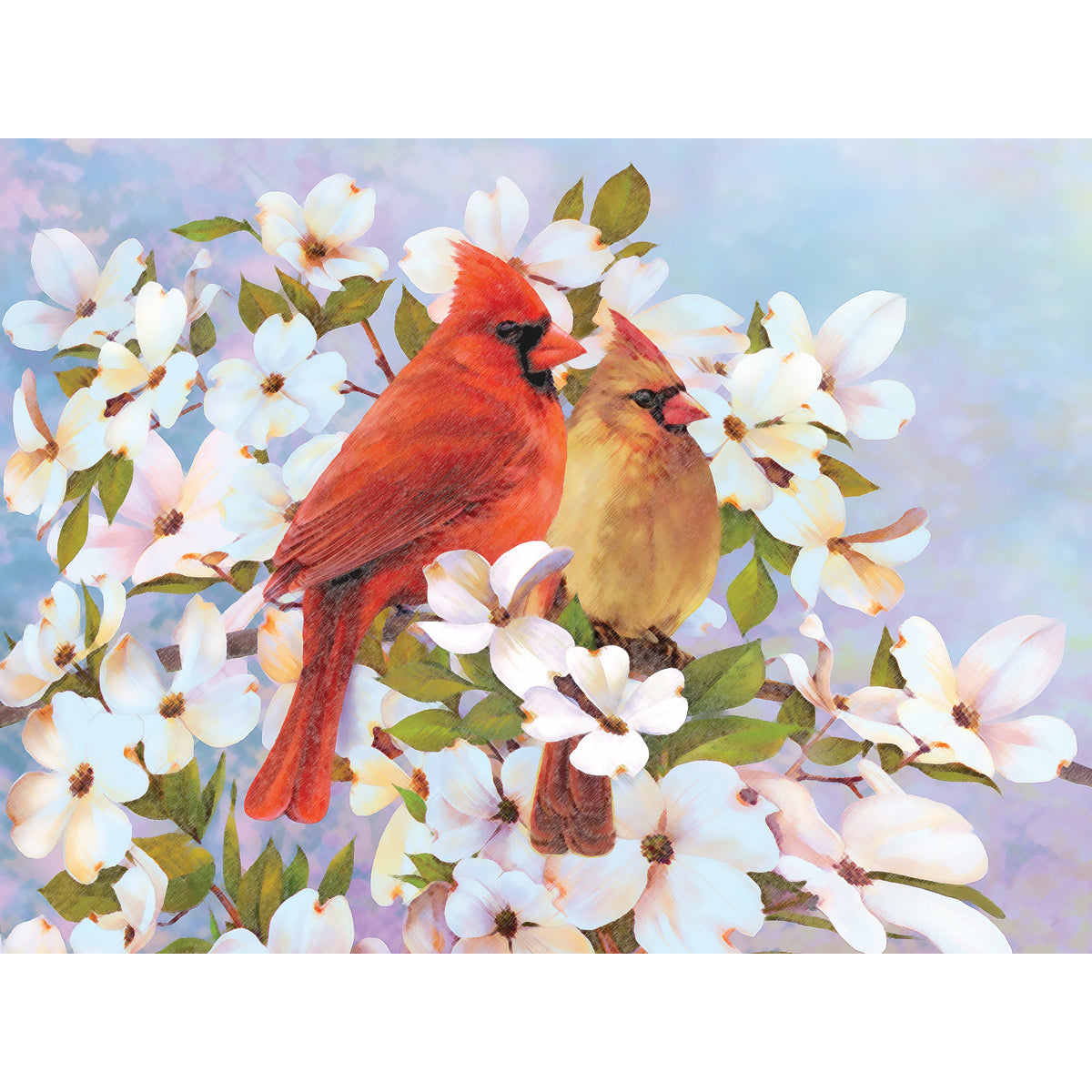 Royal Brush Color Pencil By Number Kit 8.75"X11.75" - Cardinals