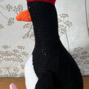 Feathers McGraw