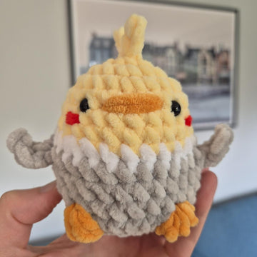 Chubby Cockatiel Bird