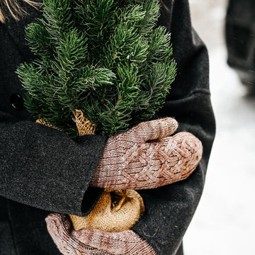Brescul mittens