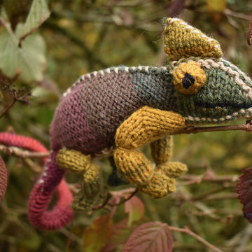 Chameleon