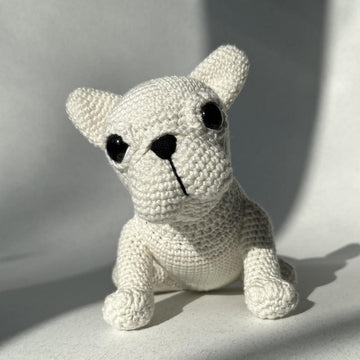 French Bulldog Puppy