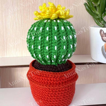 Cactus in a pot_5