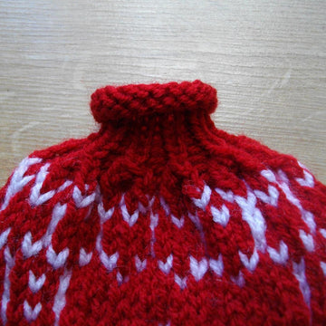 Wine bottle cozy for Christmas