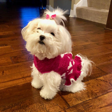 My Funny Valentine Dog Sweater
