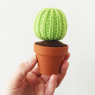 Baby Cactus Garden